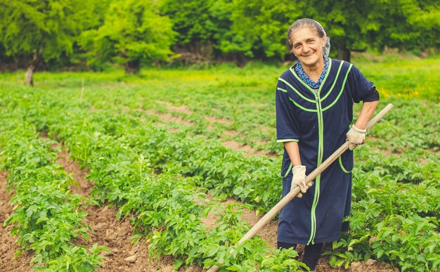 Different Types of Agriculture in India