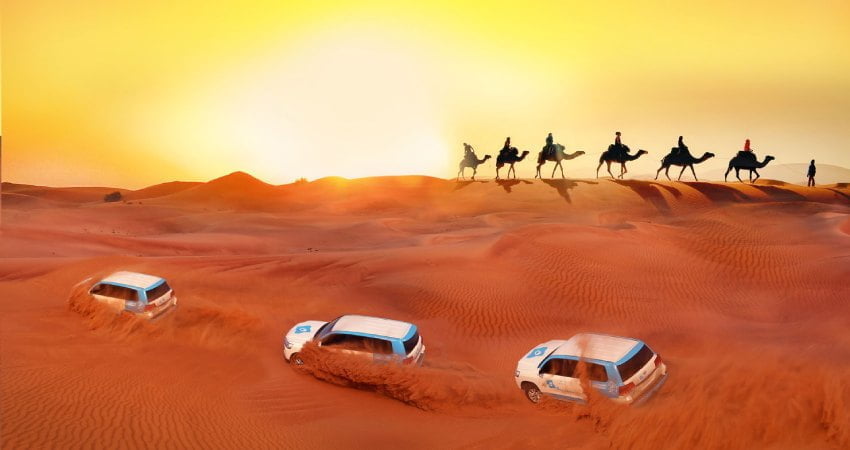Best Desert Safari Dubai – Dune Bashing, Camel Rides & More!