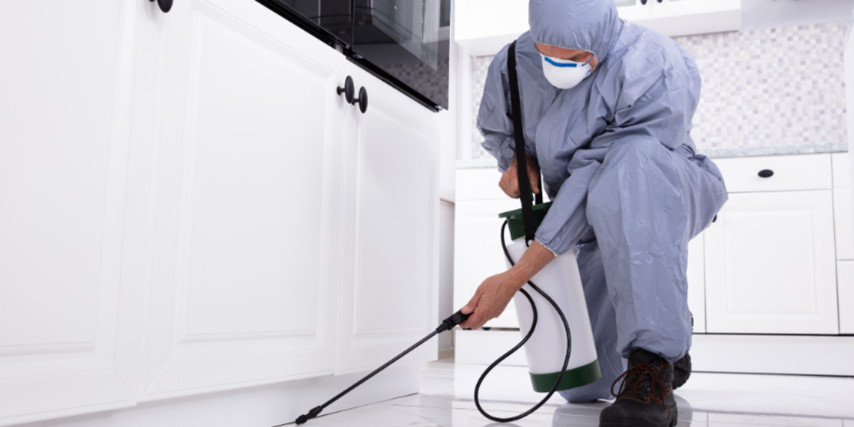 Renovating Rental Properties: Why Landlords Are Turning to Spray Painting