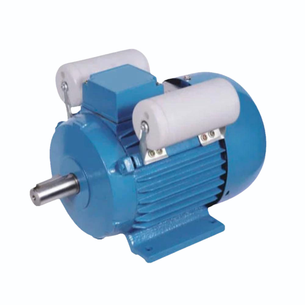 Induction Electric Motor in Ahmedabad New Life
