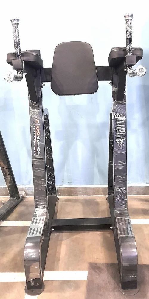 Parallel Bar Dips Stand Manufacturer & Seller in Delhi ProActive Fitness