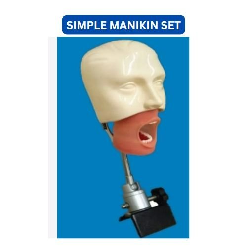 Simple manikin Set Manufacturer & Seller in Delhi Surgical Mall Of