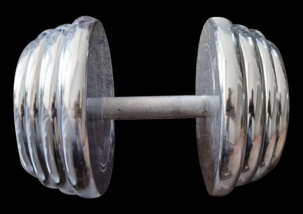 Steel Fixed Weight SS Dumbbell, 10 kg Price in Meerut, Uttar Pradesh – ₹120  ANF SPORTS INDUSTRIES