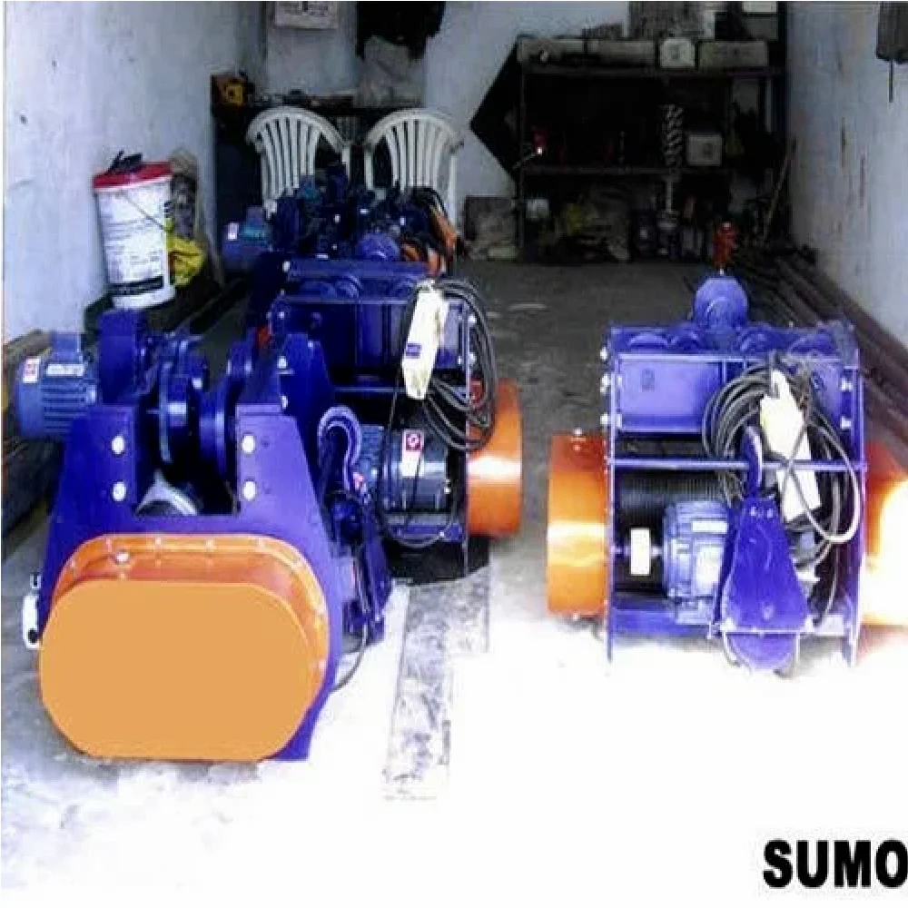 SUMO Low Headroom Hoist Manufacturer & Seller in Ahmedabad Sumo