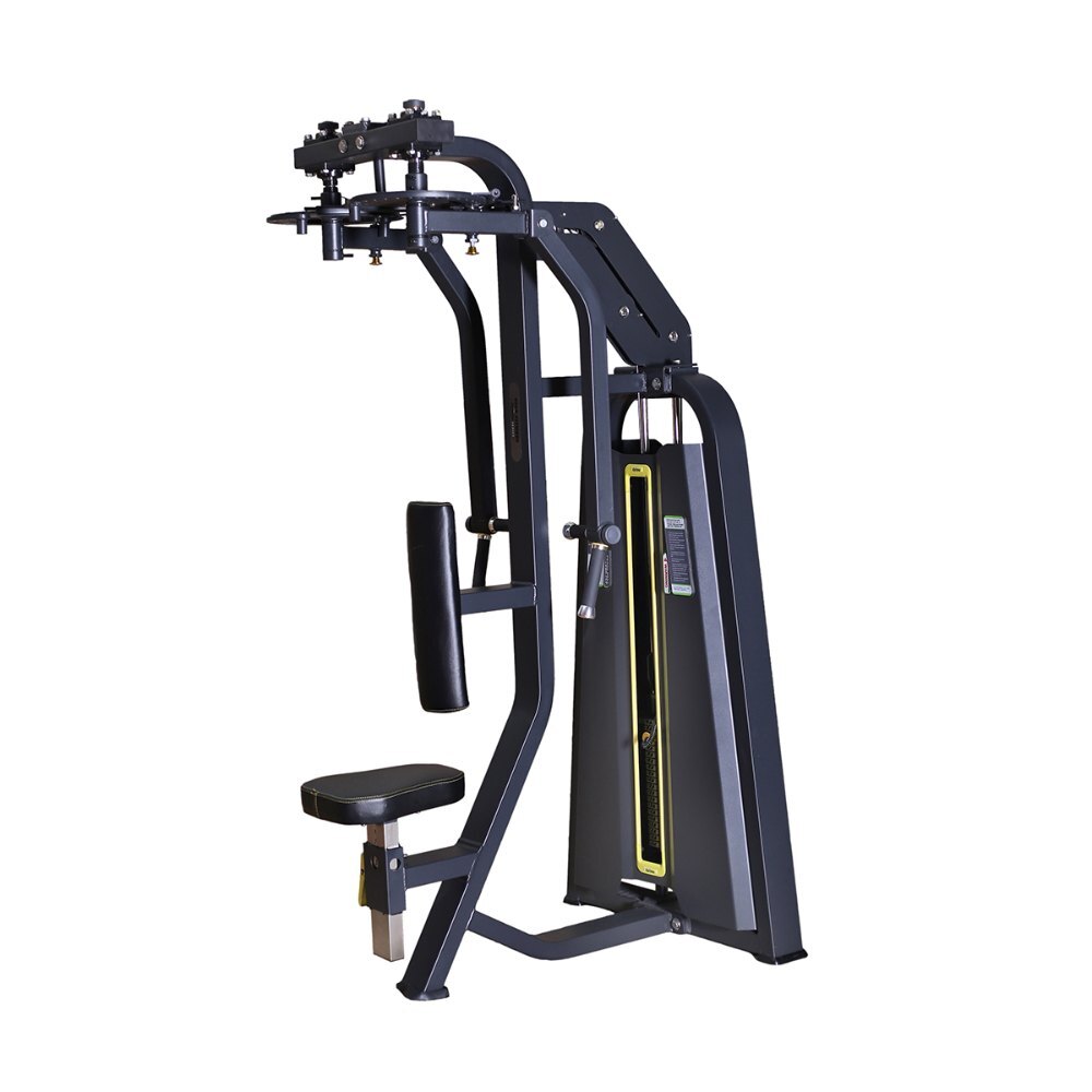 Viva Back Gym Machine Commercial Use Viva Fitness Gym Setup, For