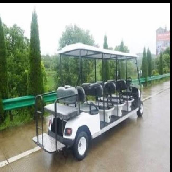 08-06 Golf Cart Rental 08 Seater in India