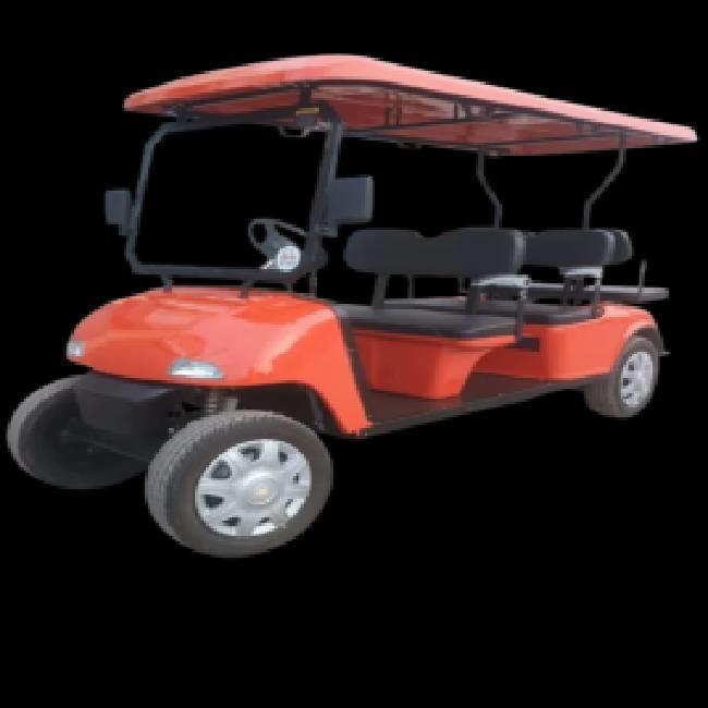 2 Seater Gasoline Golf Cart