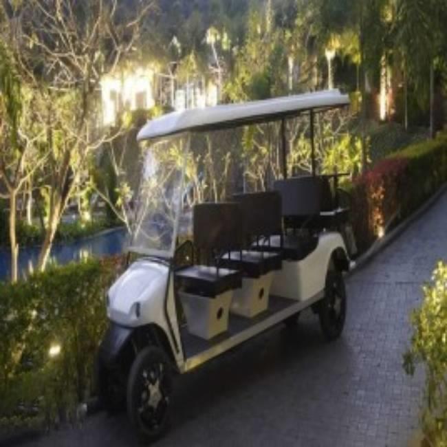 Battery Operated Golf Buggies