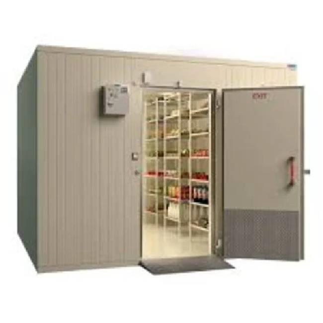 100 Ton Cold Storage Room
