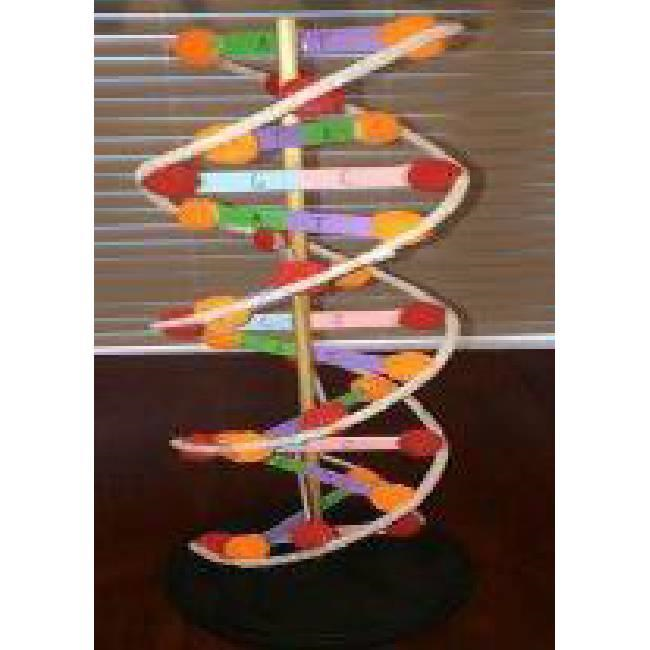 DNA MODEL PFSP-07