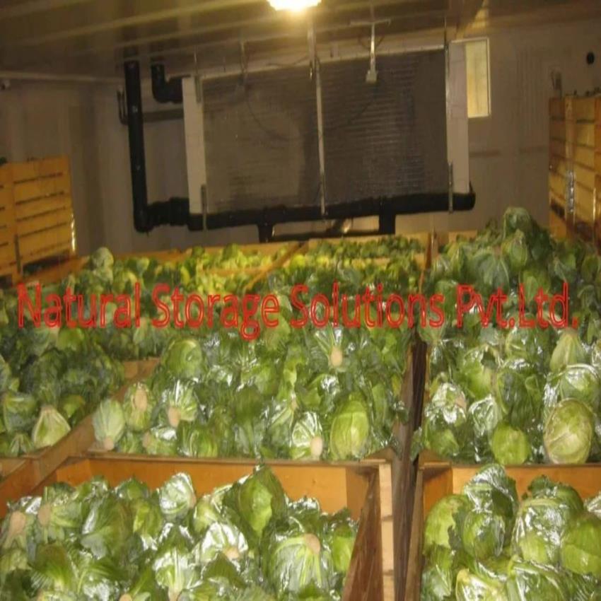 5000 MT Vegetable Cold Storage