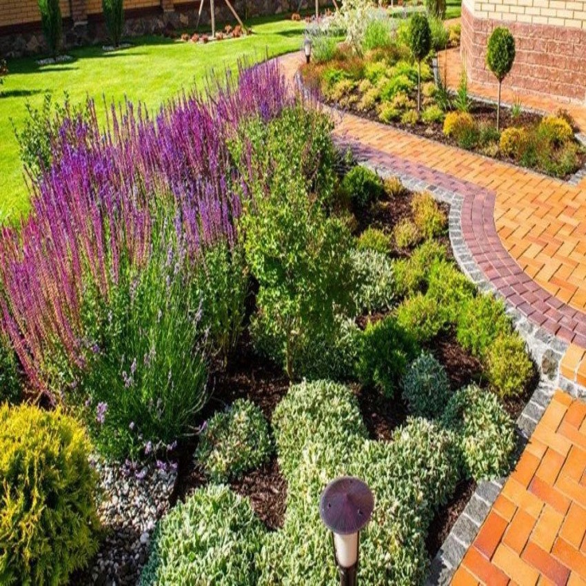 Butterfly Gardening Services