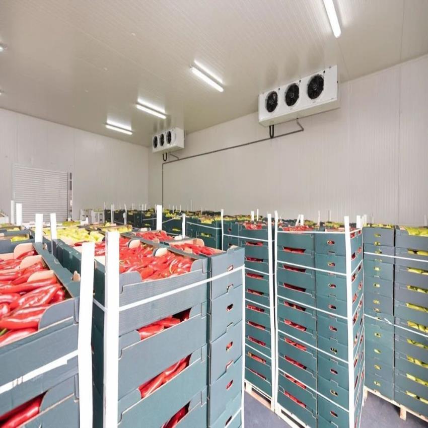 Cold Room Cold Storage