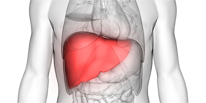 When Do You Need a Liver Transplant? Common Reasons