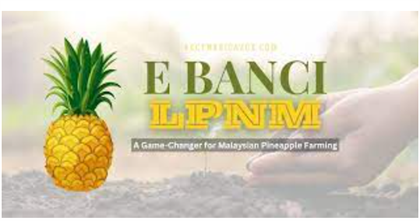Understanding e Banci LPNM; A Portal for the Malaysian Pineapple Industry