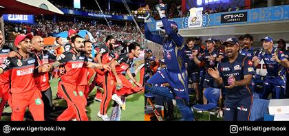 Catch Every Ball of the IPL 2025 Final with Your IPL ID: Don’t Miss the Action!