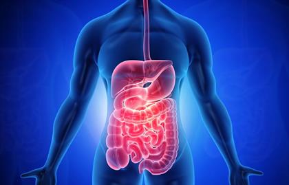 Advanced Laparoscopic and GI Surgery by Gastroenterologist in Malappuram