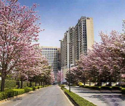 Top 5 Reasons to Invest in Nikoo Garden Estate – A Smart Move for Your Future