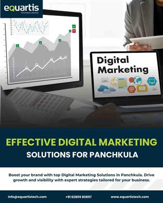 Effective Digital Marketing Solutions for Panchkula