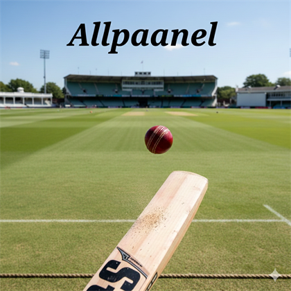 What Makes Allpaanel Stand Out Among Competitors?