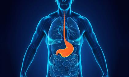 Best Gastroenterologist in Bangalore: Expert Digestive Care by Dr. Bhushan Chittawadagi