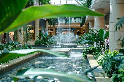 Green Evolutions: Your Go-To Fountain Manufacturer in Delhi