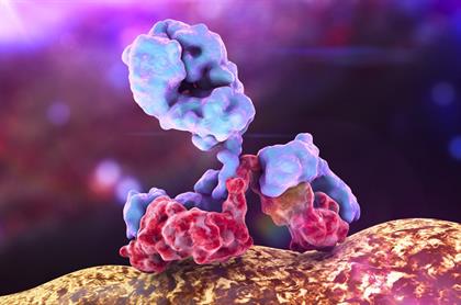 From Diagnostics to Therapy: The Rising Role of Non-IgG Antibodies