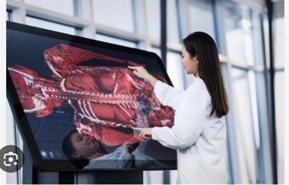 From Curiosity to Clinical Clarity: Teaching With a virtual dissection table That Learners Actually Love