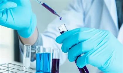 Molecular Diagnostics Market: A Key Segment in Global IVD Growth