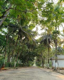 Celebrate Togetherness at Top Couple Friendly Resorts in Coimbatore