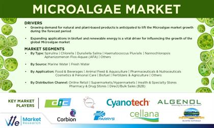 Global Microalgae Market Analysis: Key Trends & Forecast 2025–2035