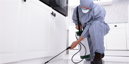 Renovating Rental Properties: Why Landlords Are Turning to Spray Painting