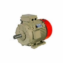 0.18 KW 0.34 HP TEFC Electric Motors, 750 rpm
