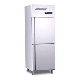 Two Door Vertical Freezer