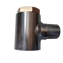 1 inch SS Non Return Valve, Butt Weld