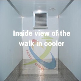 1 MT Walk in cooler