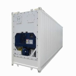 10 feet Portable Reefer Container