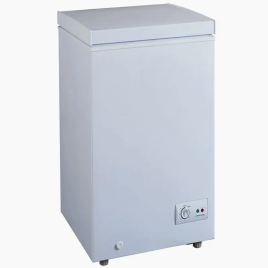 100 L SS Hard Top Deep Freezer