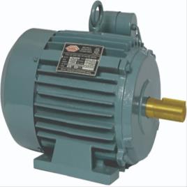 1.5 KW 2 HP Single Phase Electric Motor, 1440 rpm