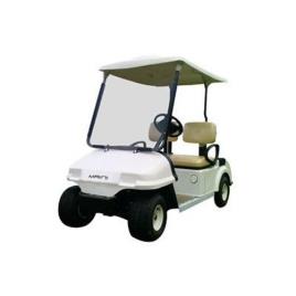 2 Seater Maini Electric Buggies
