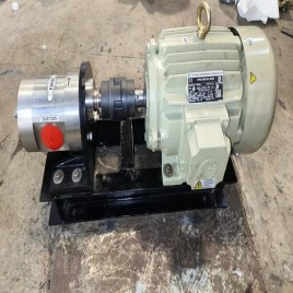 200 LPM DGSS 200 Rotary Gear Pump, AC Powered