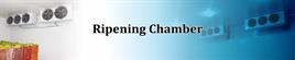 Ripening Chamber