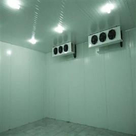 Modular Cold Room