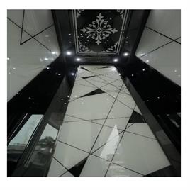 Luxury Designed Glass Elevator