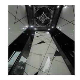 Luxury Designed Glass Elevator