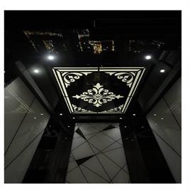 Luxury Designed Glass Elevator