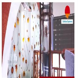 Pneumatic Vacuum Elevatorr