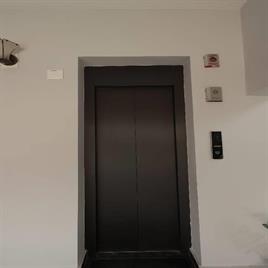 Aaron Black Matte Home Lift