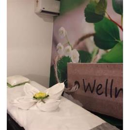 Spa Salon Interior Designing Services