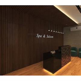 Spa Salon Interior Designing Services
